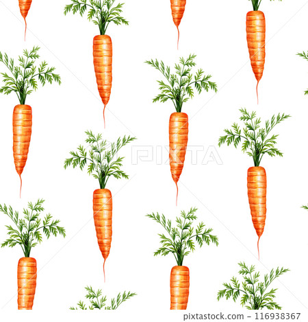 Carrots background, watercolor botanical painting seamless pattern. Realistic carrots image to decorate funny design 116938367