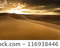 Sunset over the sand dunes in the desert. Sahara desert 116938446