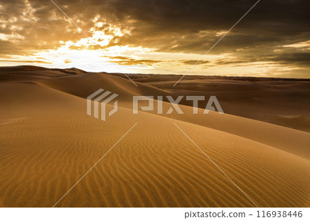 Sunset over the sand dunes in the desert. Sahara desert Sunset over the sand dunes in the desert. Sahara desert 116938446
