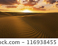 Sunset over the sand dunes in the desert. Sahara desert 116938455