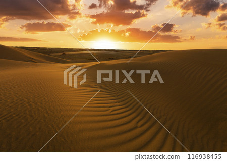 Sunset over the sand dunes in the desert. Sahara desert 116938455