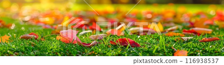 A field of grass covered in autumn leaves A field of grass covered in autumn leaves 116938537