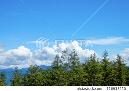 Blue sky and white clouds on the plateau 116938650