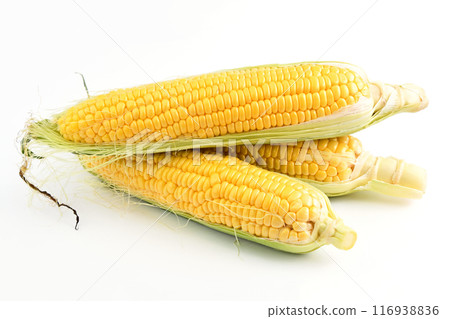 玉米（夏季節） 116938836