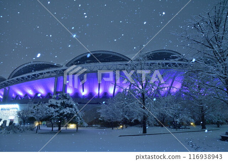 Snowy Big Swan (Niigata Prefecture) Snowy Big Swan (Niigata Prefecture) 116938943