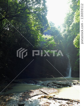 香魚外瀑布2024【香川縣三豐市高井田町】2 116939112