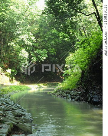 香魚外瀑布2024【香川縣三豐市高井田町】3 116939113