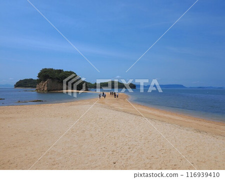 Angel Road [Shodoshima, Kagawa Prefecture] 4 116939410