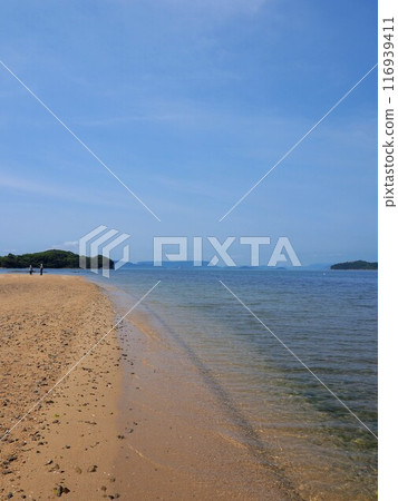 Angel Road [Shodoshima, Kagawa Prefecture] 3 116939411