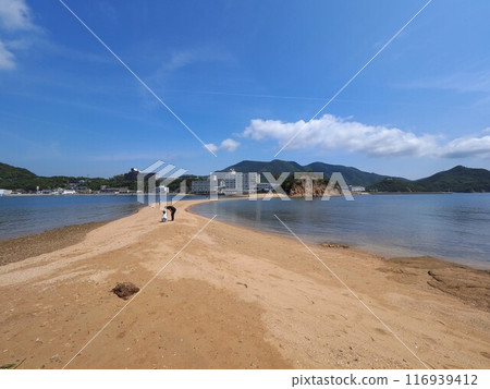 天使之路【香川縣小豆島】2 天使之路【香川縣小豆島】2 116939412