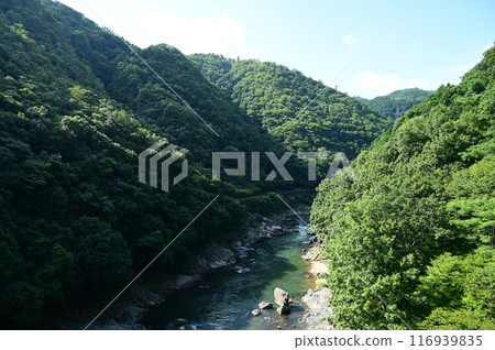 從保津峽月台眺望保津川（桂川） 116939835