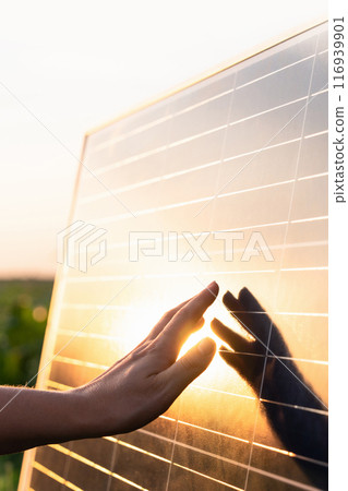 Close-up of a hand touching a solar panel at sunset Close-up of a hand touching a solar panel at sunset 116939901