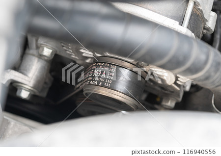 交流發電機皮帶 116940556