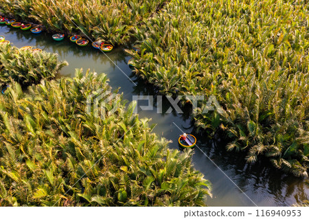 Bay Mau coconut forest, Hoi An eco-tourism area, Quang Nam province, Vietnam 116940953