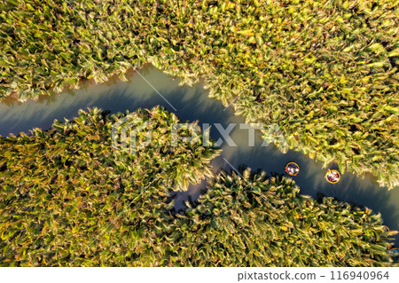 Bay Mau coconut forest, Hoi An eco-tourism area, Quang Nam province, Vietnam 116940964