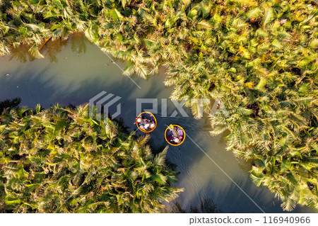 Bay Mau coconut forest, Hoi An eco-tourism area, Quang Nam province, Vietnam 116940966