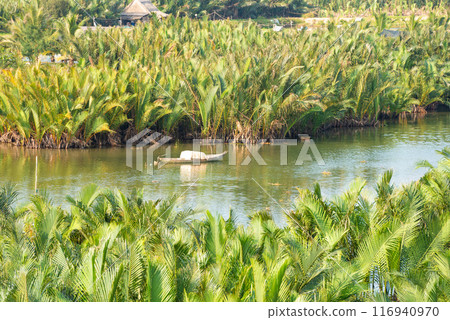 Bay Mau coconut forest, Hoi An eco-tourism area, Quang Nam province, Vietnam 116940970