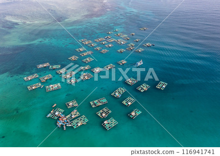 Cu Lao Re or Ly Son island or Volcanic island, Quang Ngai, Vietnam. Cu Lao Re or Ly Son island or Volcanic island, Quang Ngai, Vietnam. 116941741