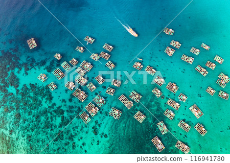 Cu Lao Re or Ly Son island or Volcanic island, Quang Ngai, Vietnam. 116941780