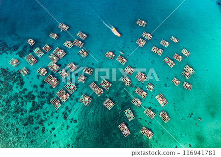 Cu Lao Re or Ly Son island or Volcanic island, Quang Ngai, Vietnam. 116941781