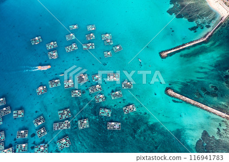 Cu Lao Re or Ly Son island or Volcanic island, Quang Ngai, Vietnam. Cu Lao Re or Ly Son island or Volcanic island, Quang Ngai, Vietnam. 116941783