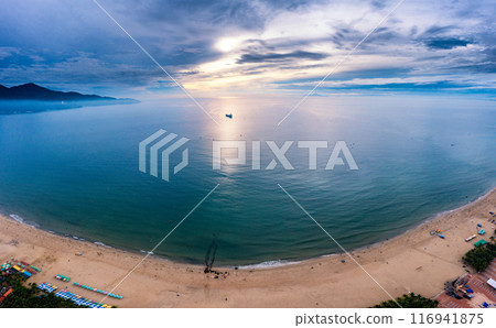 My Khe Beach with palm tree forest 116941875