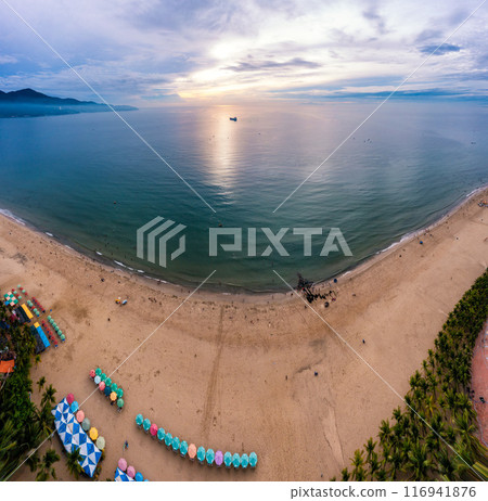 My Khe Beach with palm tree forest 116941876