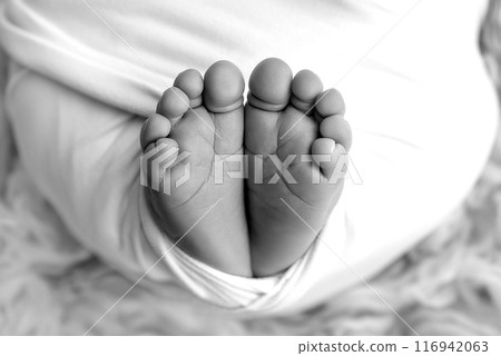 Foot of a newborn. Close up feet, toes, heels, feet of a newborn baby. Studio monochrome, vintage style, black and white macro photography. 116942063