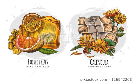 Handmade natural exotic fruits and calendula essential oil soap color hand drawn vector set, herbal aroma soap bricks 116942208