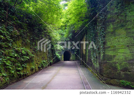 神奈川縣橫須賀市Sarushima 116942332