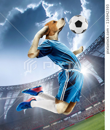 Dog-headed athlete in blue jersey, soccer player in motion with ball during game on stadium, hitting ball with chest in jump. 3D render of sport stadium. Blurred stands with fans 116942393