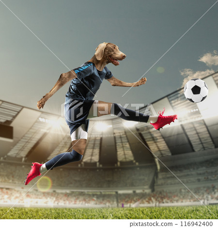 Determined soccer athlete with dogs muzzle on head, hitting ball during open air football match. 3d render of soccer stadium with filled fans tribune. Photo collage Determined soccer athlete with dogs muzzle on head, hitting ball during open air football match. 3d render of soccer stadium with filled fans tribune. Photo collage 116942400