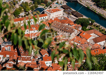 Kotor Old Town Terracotta Roofs from Fortress Kotor Old Town Terracotta Roofs from Fortress 116942497