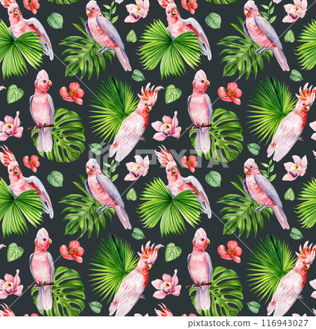 Pink cockatoo Seamless Pattern watercolor tropical palm leaves parrots birds, flowers. flora background Tropic Patterns Pink cockatoo Seamless Pattern watercolor tropical palm leaves parrots birds, flowers. flora background Tropic Patterns 116943027