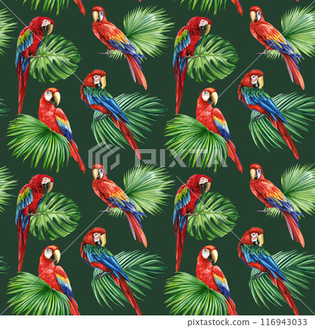 Parrots Seamless Pattern watercolor illustrations tropical palm leaves, macaw parrot bird, flora background Tropic birds Parrots Seamless Pattern watercolor illustrations tropical palm leaves, macaw parrot bird, flora background Tropic birds 116943033