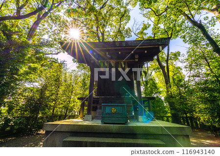 俯瞰宮山神社的日本寒川市景（相模國一宮寒川神社終點神社）= 2020 年 7 月 21 日 116943140