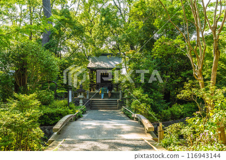 Samukawa cityscape in Japan, overlooking Miyayama Shrine (Sagami Province Ichinomiya Samukawa Shrine sub-shrine) = July 21, 2024 116943144