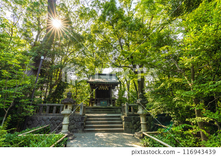 俯瞰宮山神社的日本寒川市景（相模國一宮寒川神社終點神社）= 2020 年 7 月 21 日 116943439