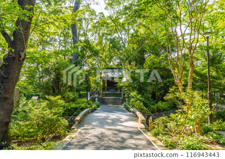 俯瞰宮山神社的日本寒川市景（相模國一宮寒川神社終點神社）= 2020 年 7 月 21 日 116943443