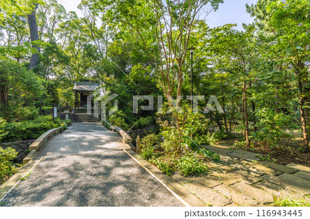 俯瞰宮山神社的日本寒川市景（相模國一宮寒川神社終點神社）= 2020 年 7 月 21 日 116943445