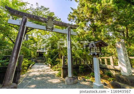 俯瞰宮山神社的日本寒川市景（相模國一宮寒川神社終點神社）= 2020 年 7 月 21 日 116943567