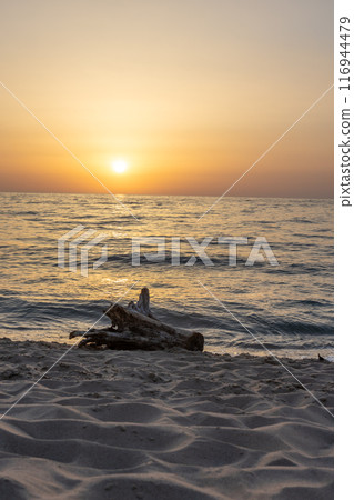 Golden Sunset Over Serene Ocean Waters 116944479