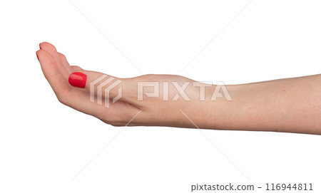 Cupped hand with palm up, symbolizing charity and help. Elegant and delicate gesture, showing care Cupped hand with palm up, symbolizing charity and help. Elegant and delicate gesture, showing care 116944811