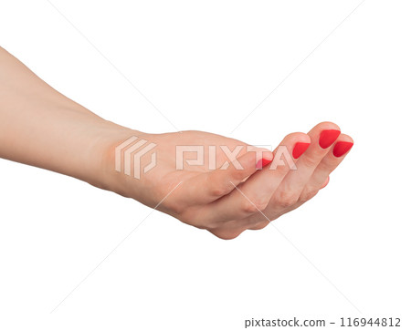 Cupped hand with palm up, symbolizing charity and help. Outstretched gesture, isolated on white 116944812