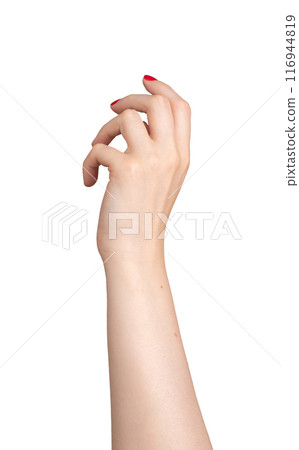 tender, elegant hand with red varnish on the fingernails, positioned in a delicate, outstretched 116944819