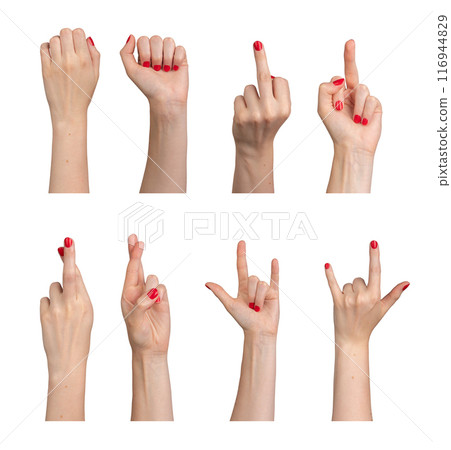 Hand gestures set, sign language isolated on white background. 116944829