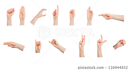 Hand gestures, signs, finger pointer, fist, set isolated on white background. 116944832