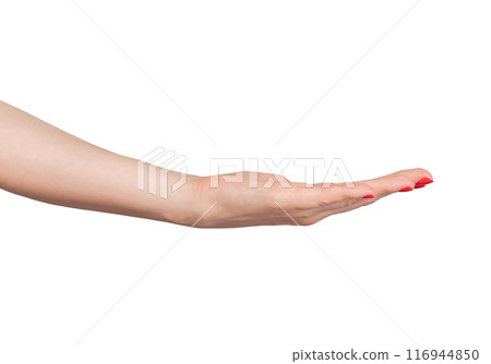 Outstretched hand with an empty palm, symbolizing charity and support. Elegant gesture, isolated on Outstretched hand with an empty palm, symbolizing charity and support. Elegant gesture, isolated on 116944850