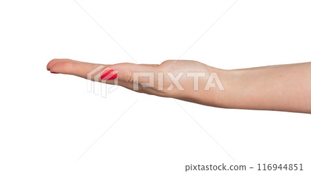 Outstretched hand, palm open and empty, ready to share or receive. Gesture symbolizing support, help Outstretched hand, palm open and empty, ready to share or receive. Gesture symbolizing support, help 116944851