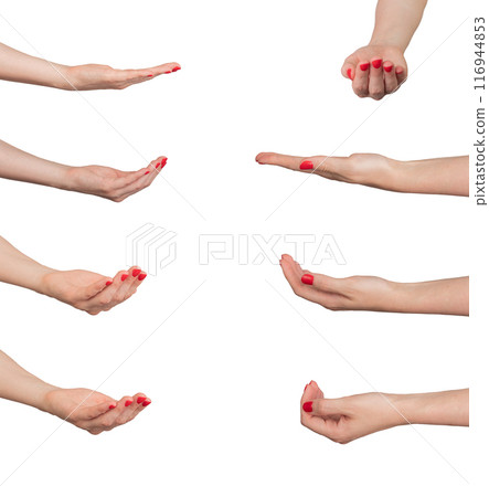 Cup-shaped hands and palms, gestures holding something, giving, offering, set isolated on white Cup-shaped hands and palms, gestures holding something, giving, offering, set isolated on white 116944853